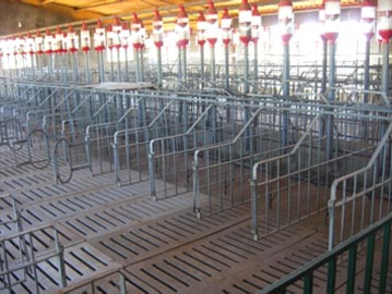 Genesus Production Nucleus in Spain